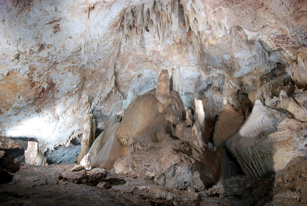 Köýtendagyň ýerasty dünýäsiniň syrlary: Garlyk gowaklarynyň özboluşly haýwanat dünýäsi