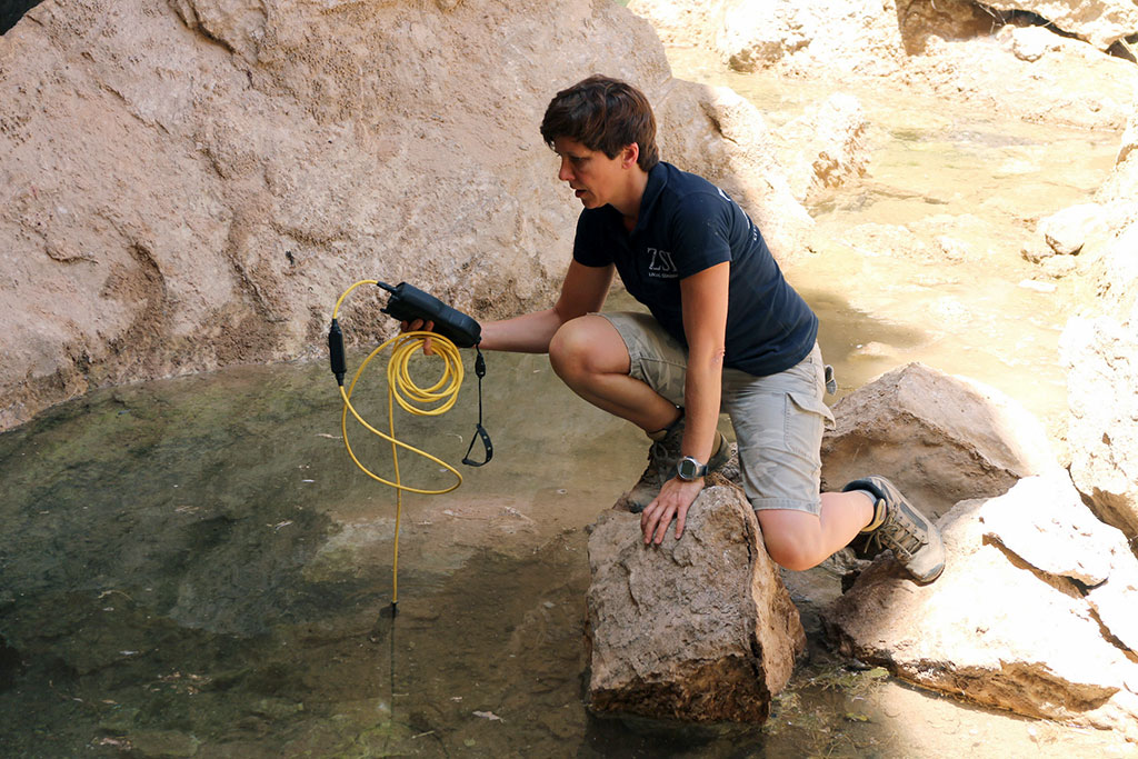 Köýtendagyň ýerasty dünýäsiniň syrlary: Garlyk gowaklarynyň özboluşly haýwanat dünýäsi