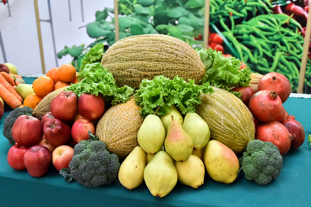 Berkarar döwletimiziň bagtyýarlyk döwrüniň ýyl ýazgysy — 2018-nji ýyl: Obasenagat toplumy