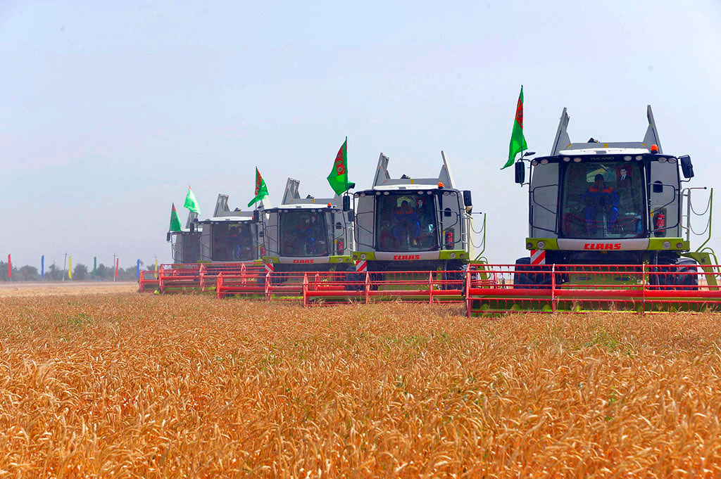 Berkarar döwletimiziň bagtyýarlyk döwrüniň ýyl ýazgysy — 2018-nji ýyl: Obasenagat toplumy