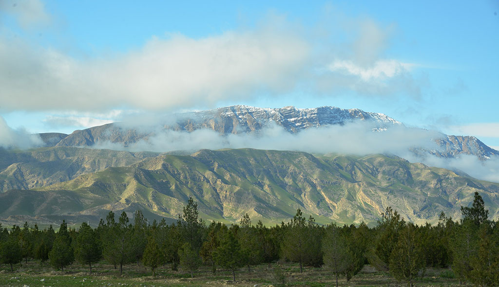 В предгорья Копетдага пришла весна 