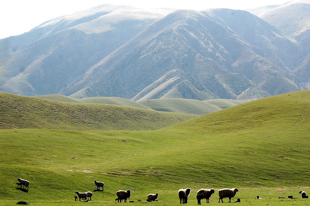Köpetdag etegine geldi bahar...