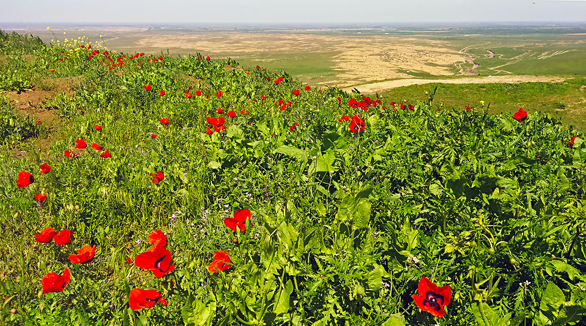 18-nji aprel — Ýadygärlikleri we taryhy ýerleri goramagyň halkara güni 