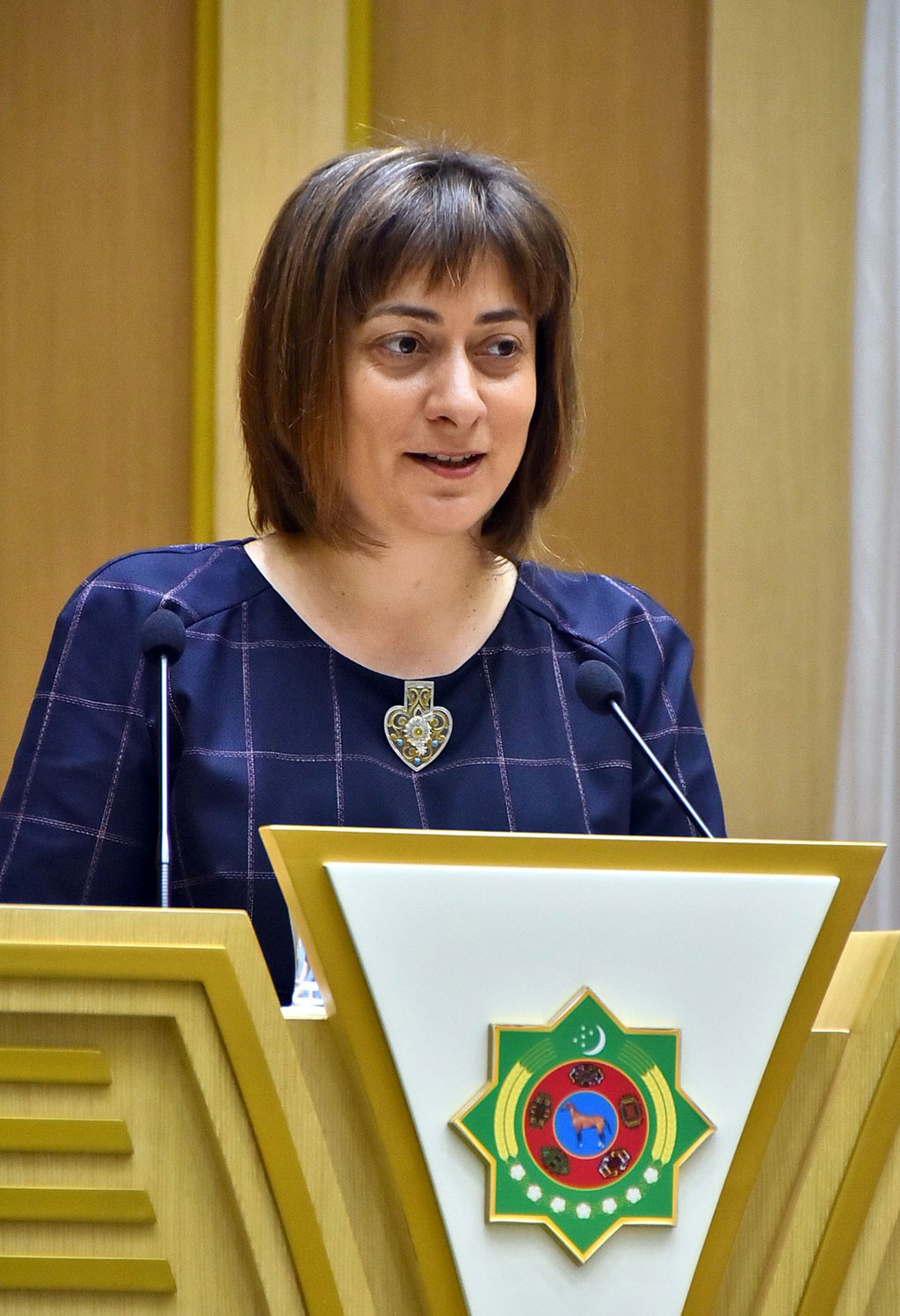 Новые векторы диалога Туркменистан – ООН стали темой конференции и брифинга 