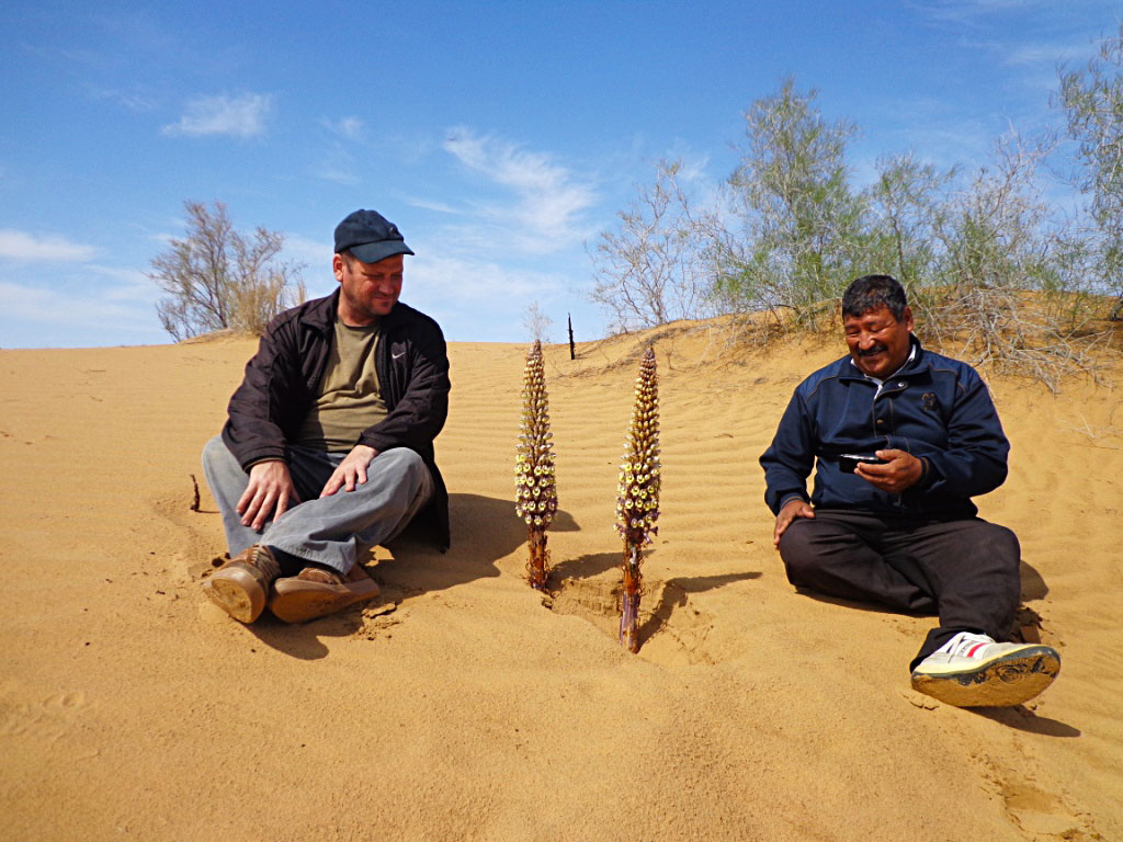 Scientist study thick vegetation of Karakum desert