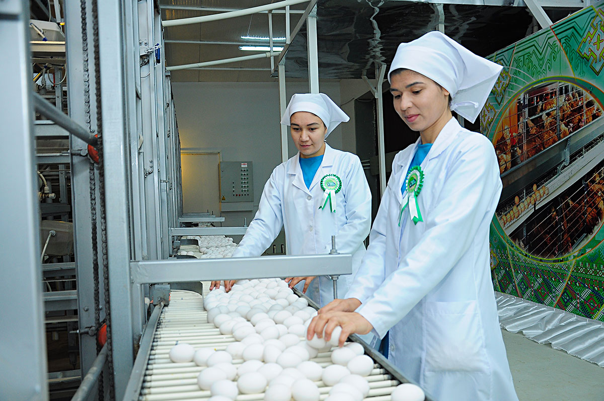 Watanymyzyň sebitlerinde täze binalaryň açylyş dabaralary 