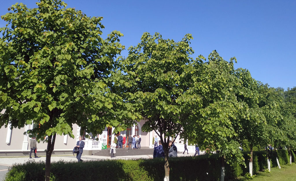 Туркменские журналисты принимают участие в обсуждении актуальных вопросов развития СМИ 