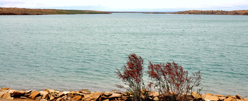 Президент Туркменистана направил приветствие работникам природоохранной сферы страны