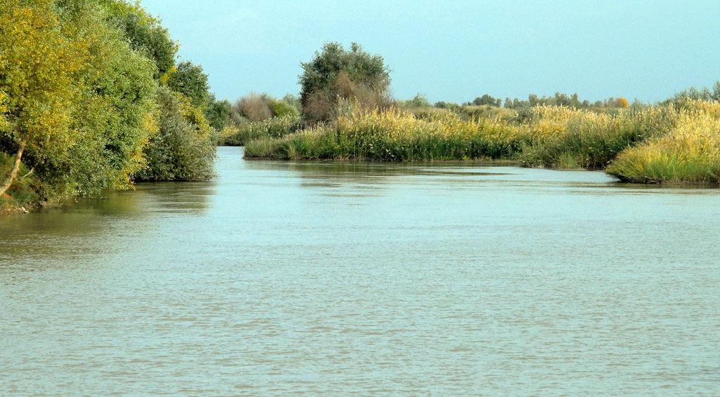 Президент Туркменистана направил приветствие работникам природоохранной сферы страны