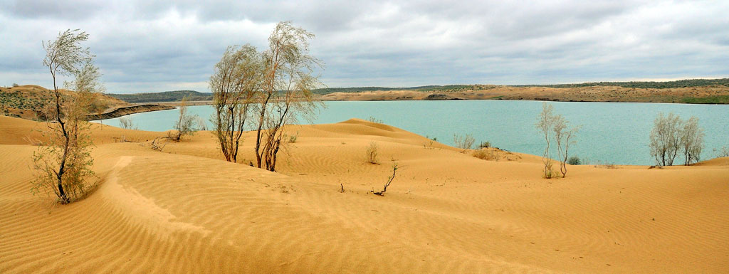 The President of Turkmenistan sends greetings to personnel of natural protection sphere of the country