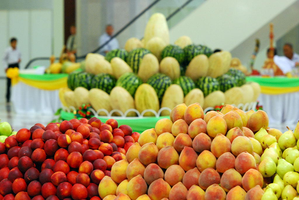 ХО «Ter önüm»: алгоритм эффективной бизнес-модели  