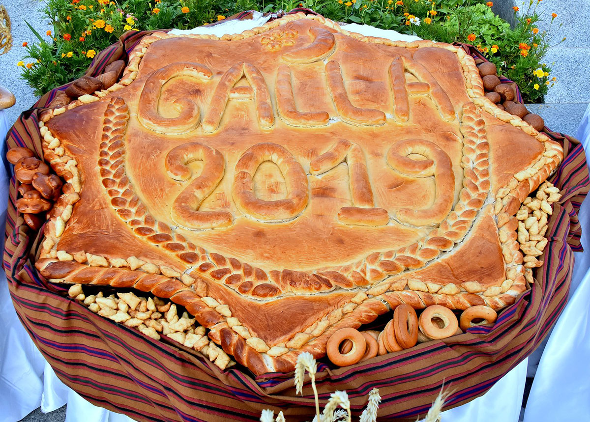 Scientists and agrarian experts from the CIS countries note the success of Turkmenistan in seed production sphere 