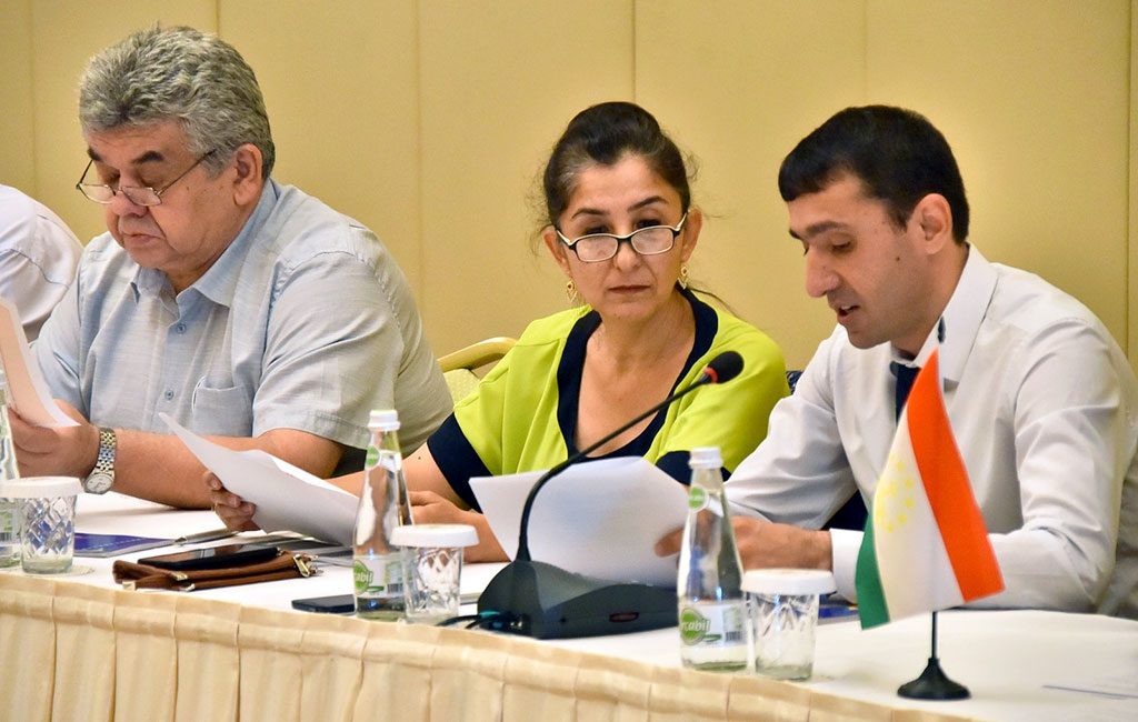 Aşgabatda Aral boýunça sebitleýin iş toparlarynyň duşuşygy geçirilýär