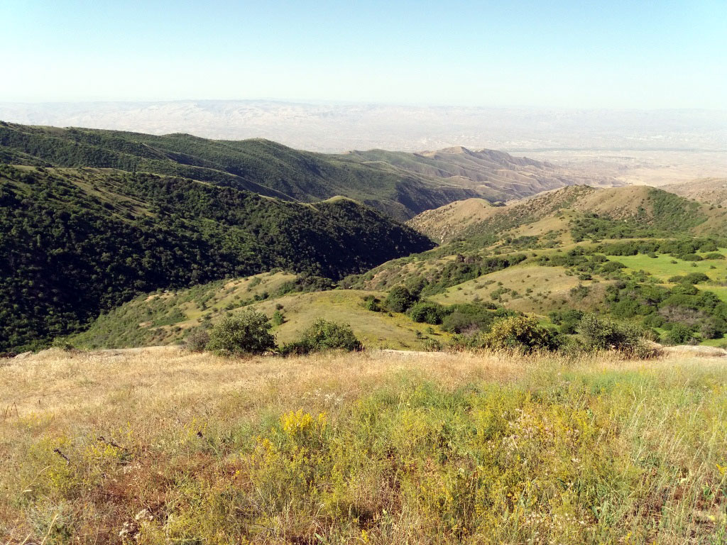 17-nji awgustda höwesjeňleriň aw möwsümi başlanýar