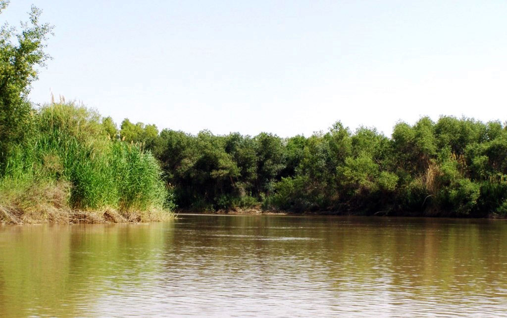 17-nji awgustda höwesjeňleriň aw möwsümi başlanýar