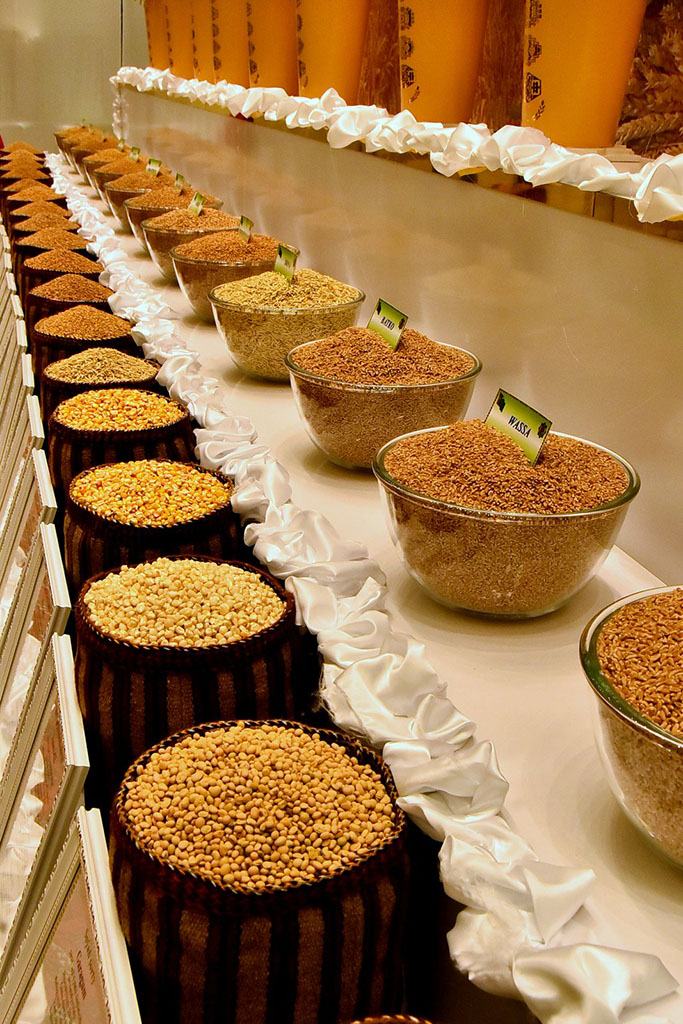 Hormatly Prezidentimiz Gurbanguly Berdimuhamedowyň  obasenagat toplumyndaky özgertmeleri - azyk bolçulygynyň binýady