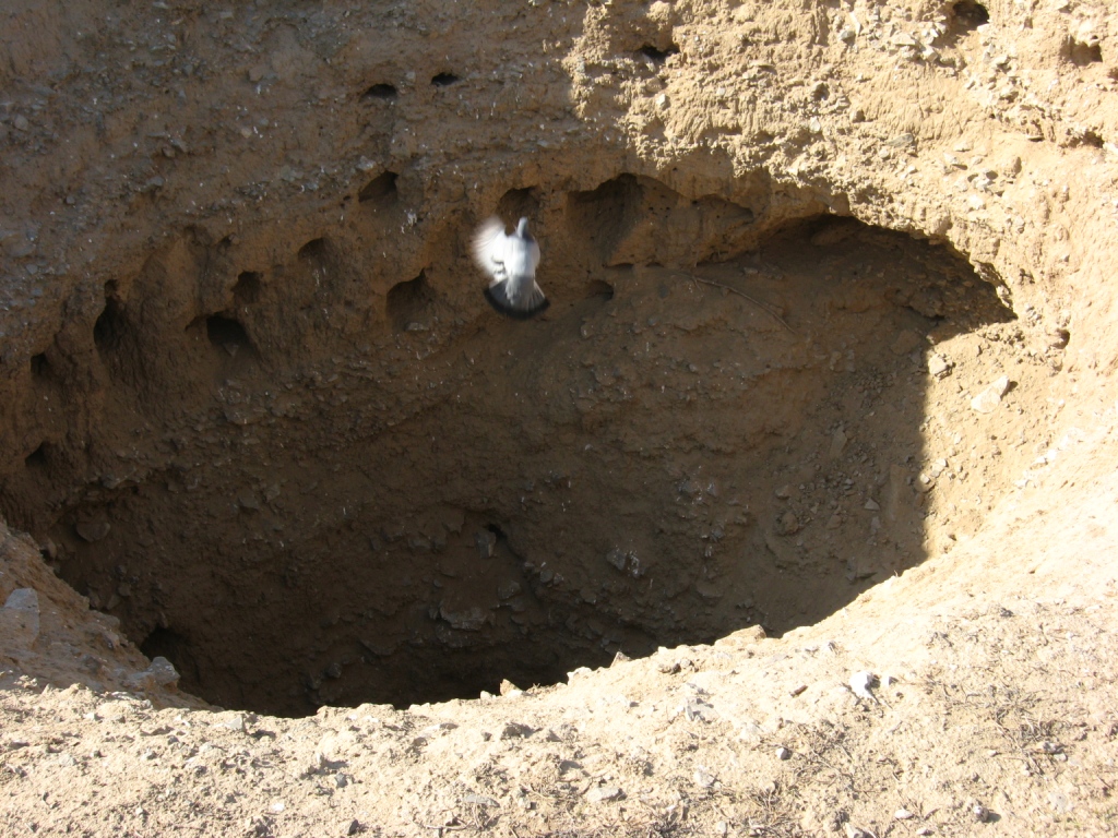 Kärizler: suwy aýawly saklamagyň ýörelgeleri