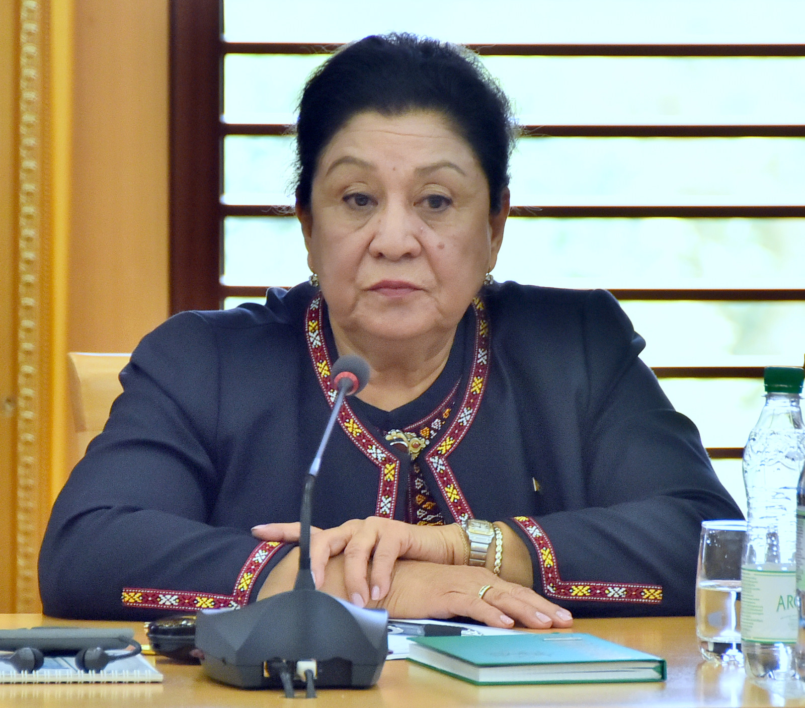 BMG-niň Baş Assambleýasynyň möhüm resminamalary kabul etmegi mynasybetli brifing 