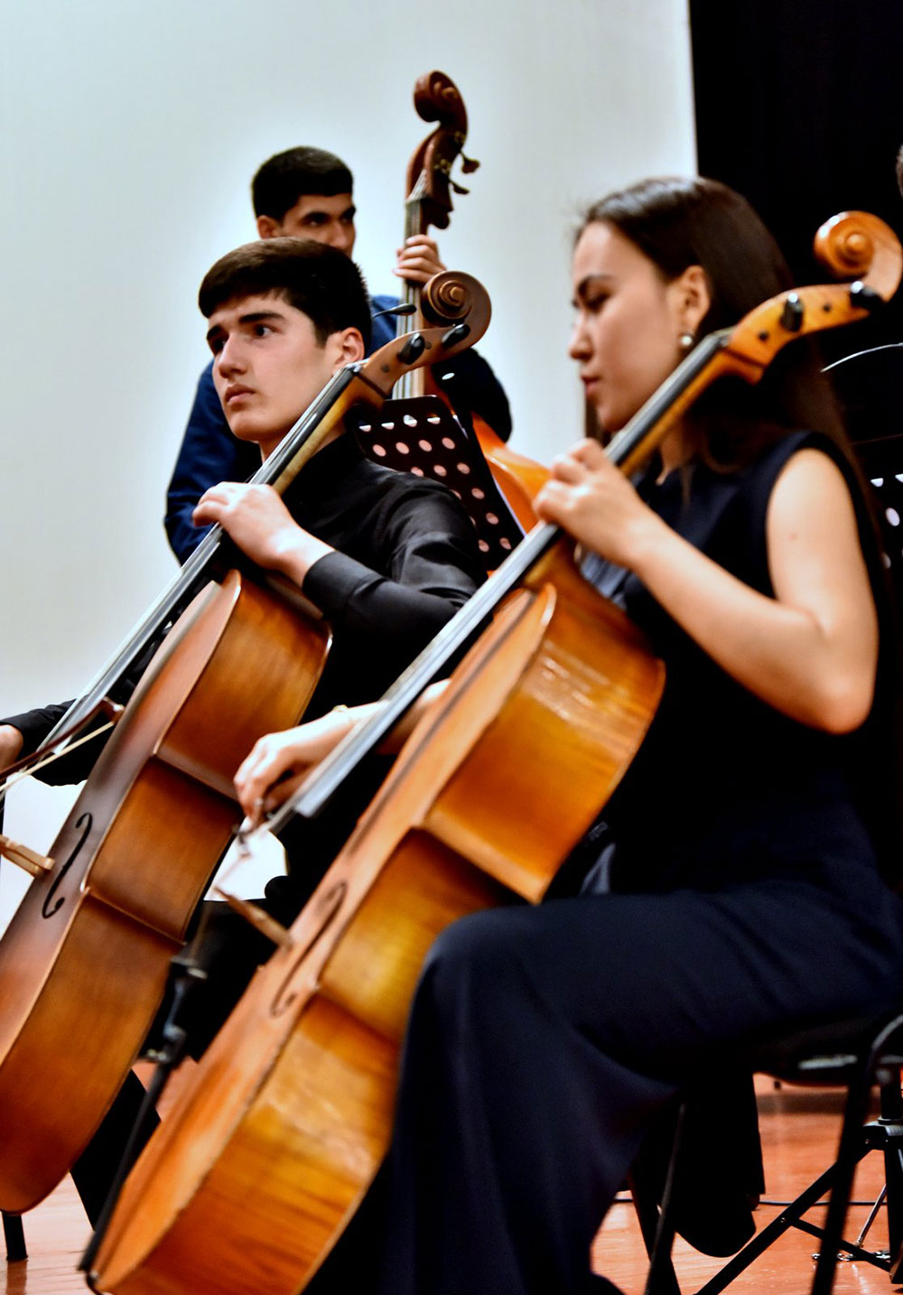 С днем рождения, струнный оркестр!