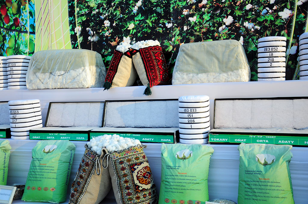 Ahal welaýaty pagta taýýarlamak baradaky borçnamany üstünlikli ýerine ýetirdi