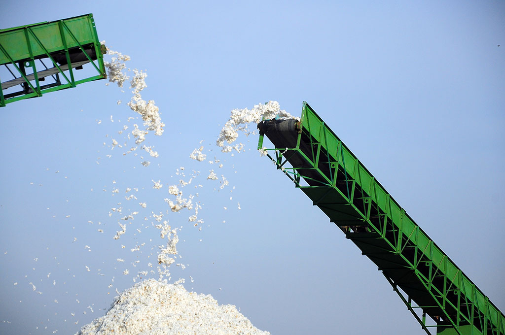 Ahal welaýaty pagta taýýarlamak baradaky borçnamany üstünlikli ýerine ýetirdi