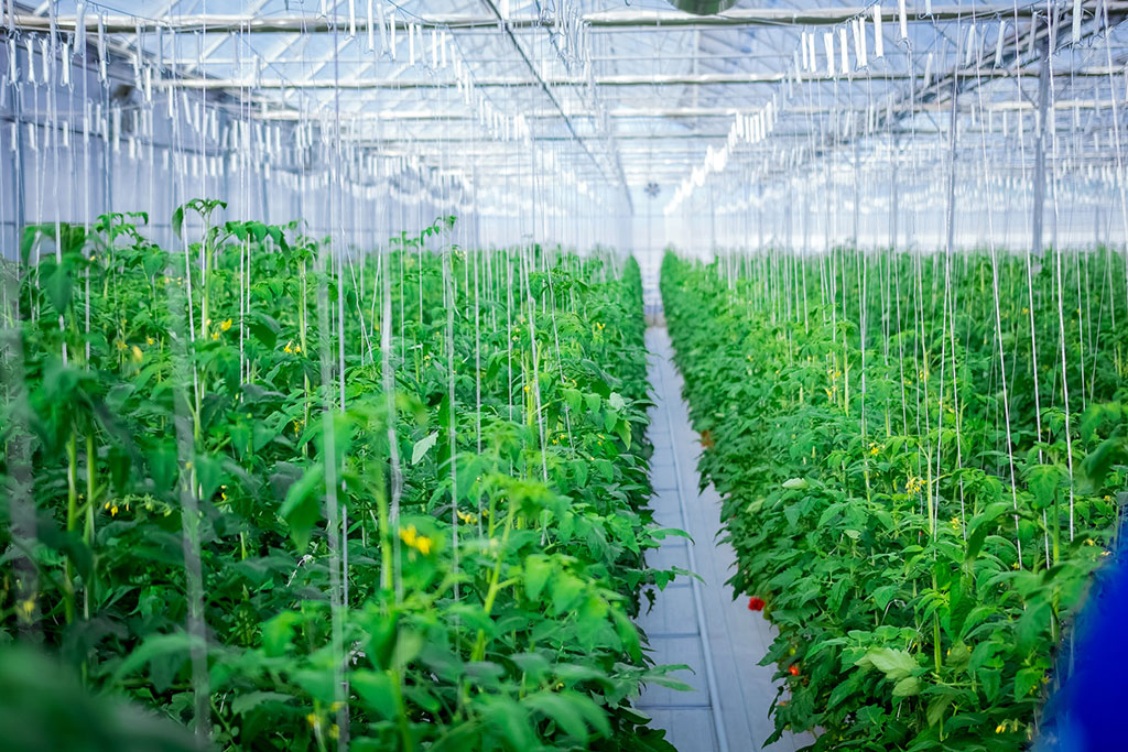 Berkarar döwletimiziň bagtyýarlyk döwrüniň täze binalary