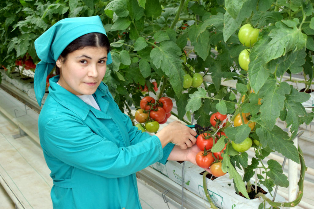 Baýramçylygyň öň ýanynda Watanymyzyň sebitlerinde täze binalar ulanylmaga berildi