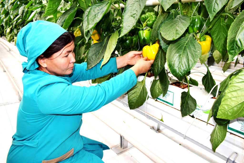 Baýramçylygyň öň ýanynda Watanymyzyň sebitlerinde täze binalar ulanylmaga berildi