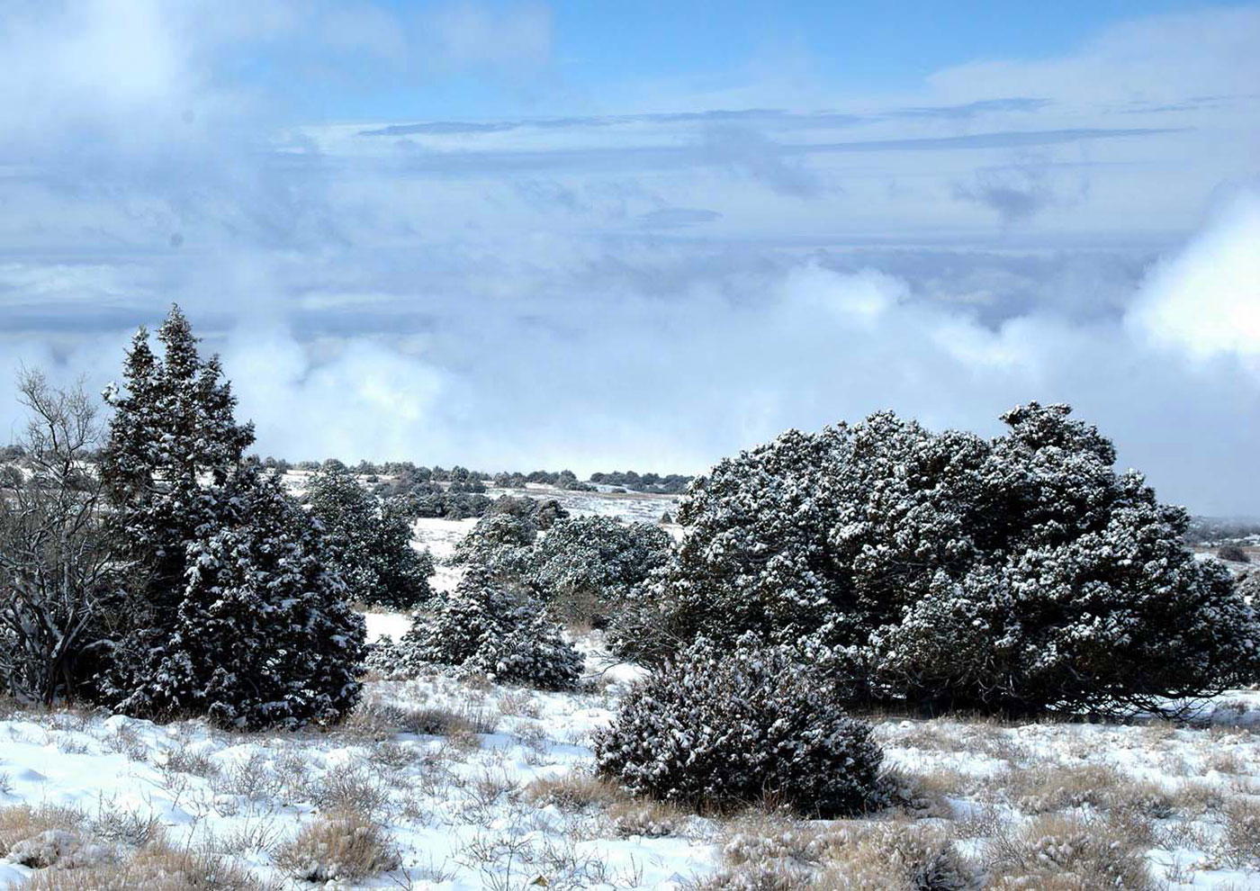 Койтендаг: зимние пейзажи 
