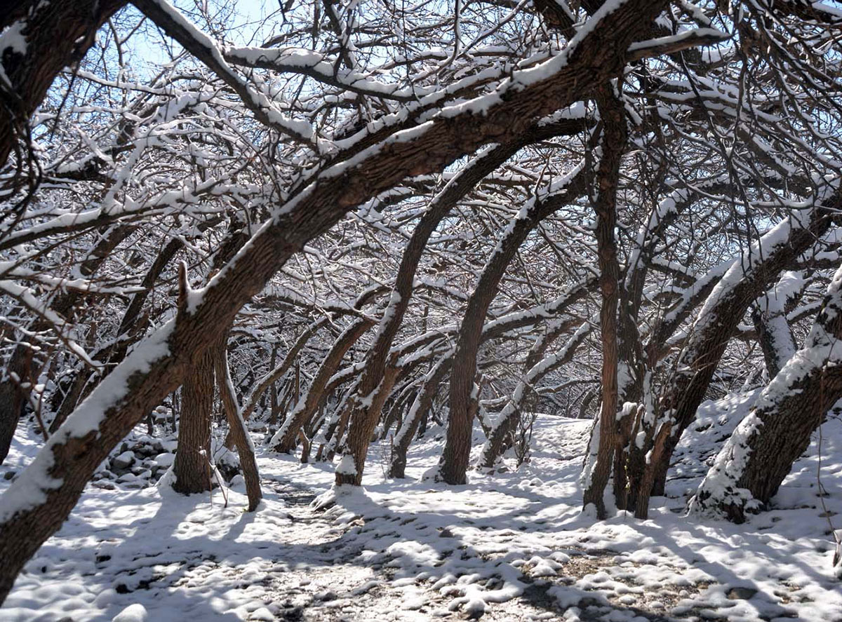 Койтендаг: зимние пейзажи 