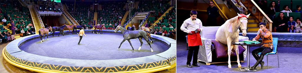 Новогоднее цирковое представление: феерия таланта и магия искусства 