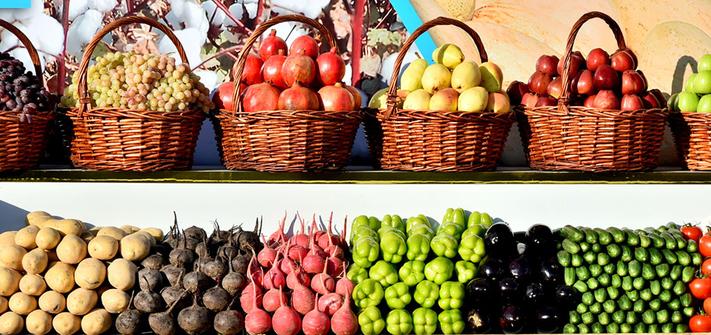 Berkarar döwletimiziň bagtyýarlyk döwrüniň ýyl ýazgysy – 2019-njy ýyl: oba hojalyk toplumy