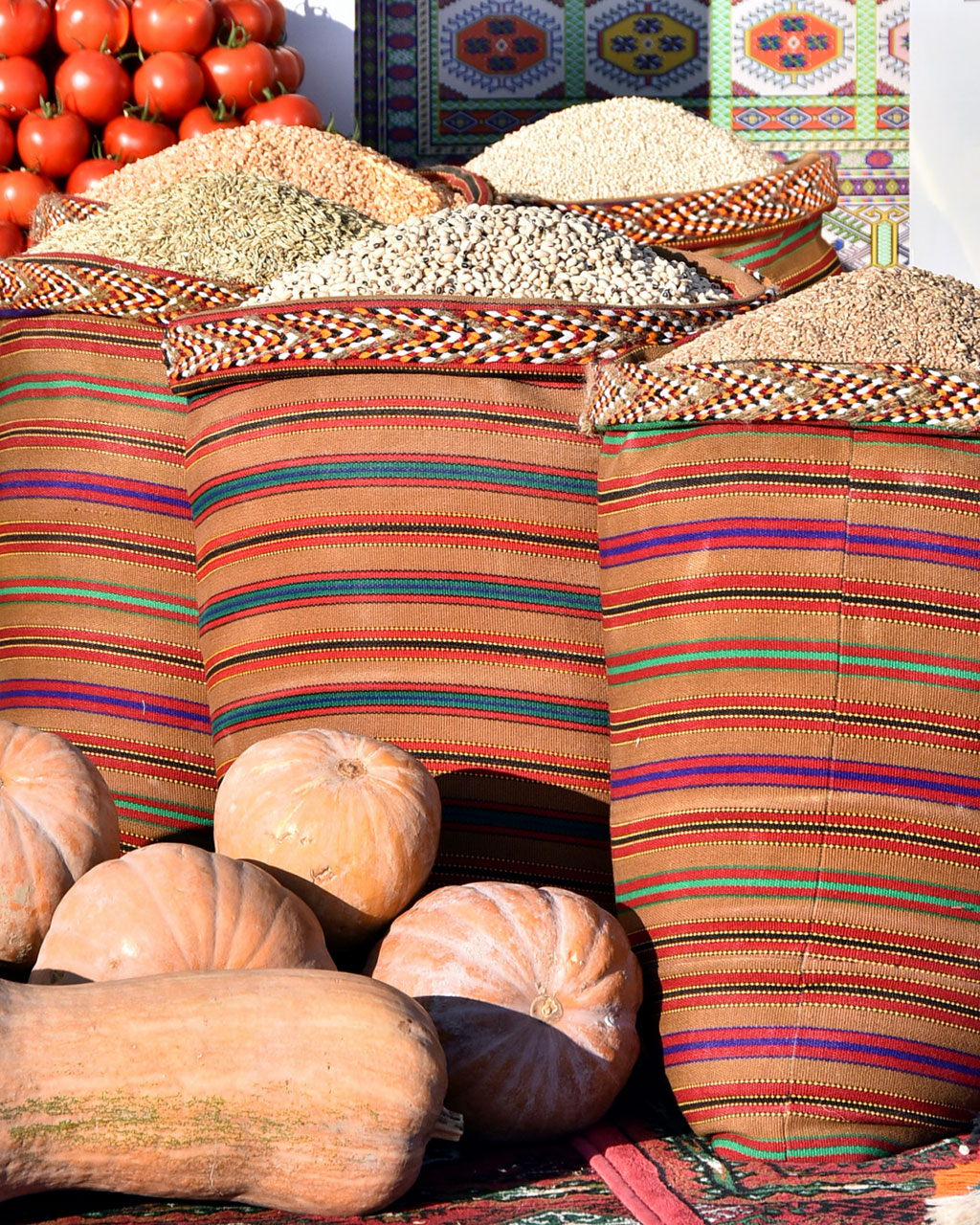 Berkarar döwletimiziň bagtyýarlyk döwrüniň ýyl ýazgysy – 2019-njy ýyl: oba hojalyk toplumy