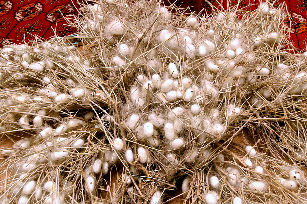 Berkarar döwletimiziň bagtyýarlyk döwrüniň ýyl ýazgysy – 2019-njy ýyl: oba hojalyk toplumy