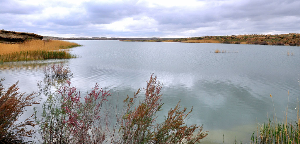 Berkarar döwletimiziň bagtyýarlyk döwrüniň ýyl ýazgysy – 2019-njy ýyl: oba hojalyk toplumy