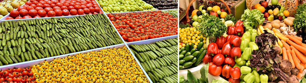 Торговля и предпринимательство: государственно-частное партнёрство, импортозамещение, экспортоориентирование 