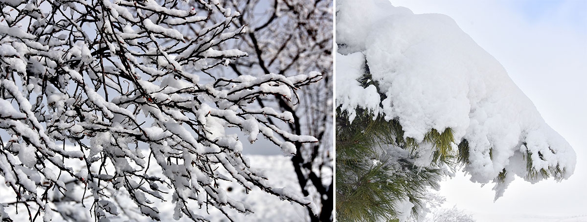 Asma ýolda gyş şalygyna gezelenç