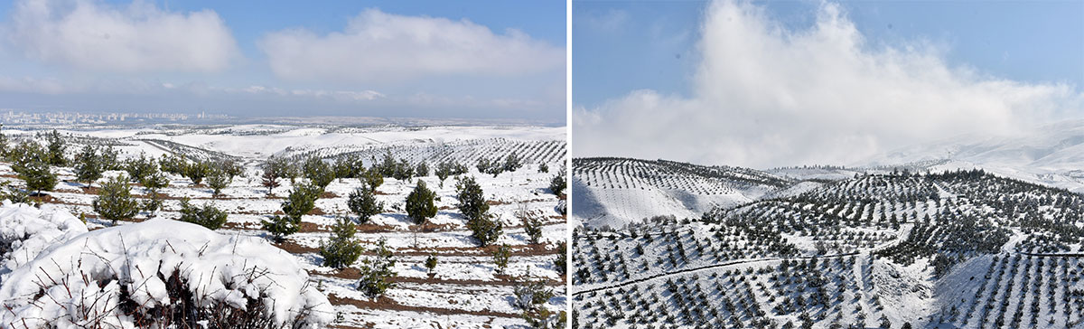 Asma ýolda gyş şalygyna gezelenç