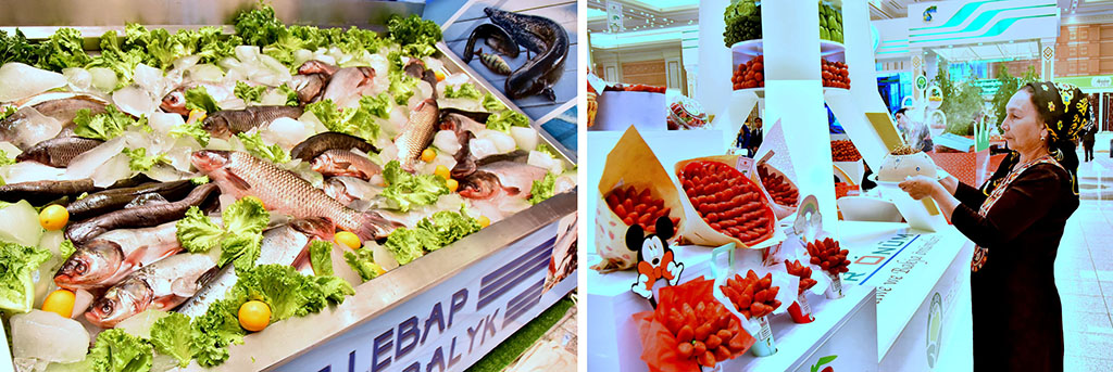 Türkmenistanyň ykdysadyýetiniň döwlete dahylsyz ulgamy: innowasiýalara tarap ugur