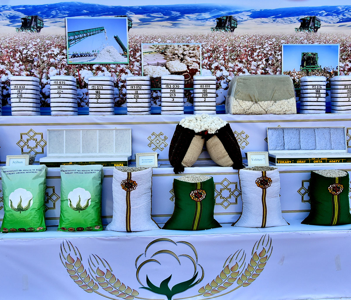 В Ахалском, Балканском, Лебапском и Марыйском велаятах началась посевная хлопчатника 