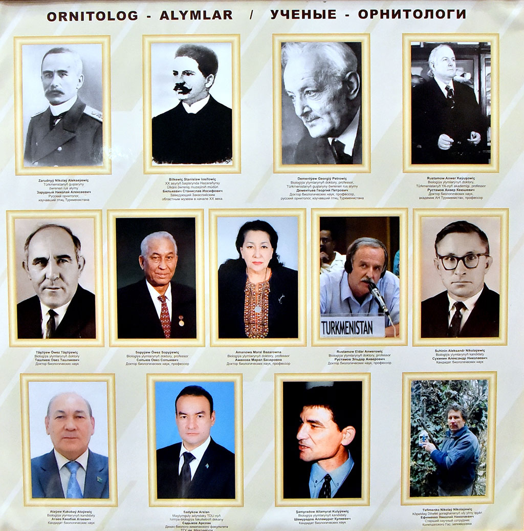 Döwlet muzeýiniň guran sergisi guşlara bagyşlanýar