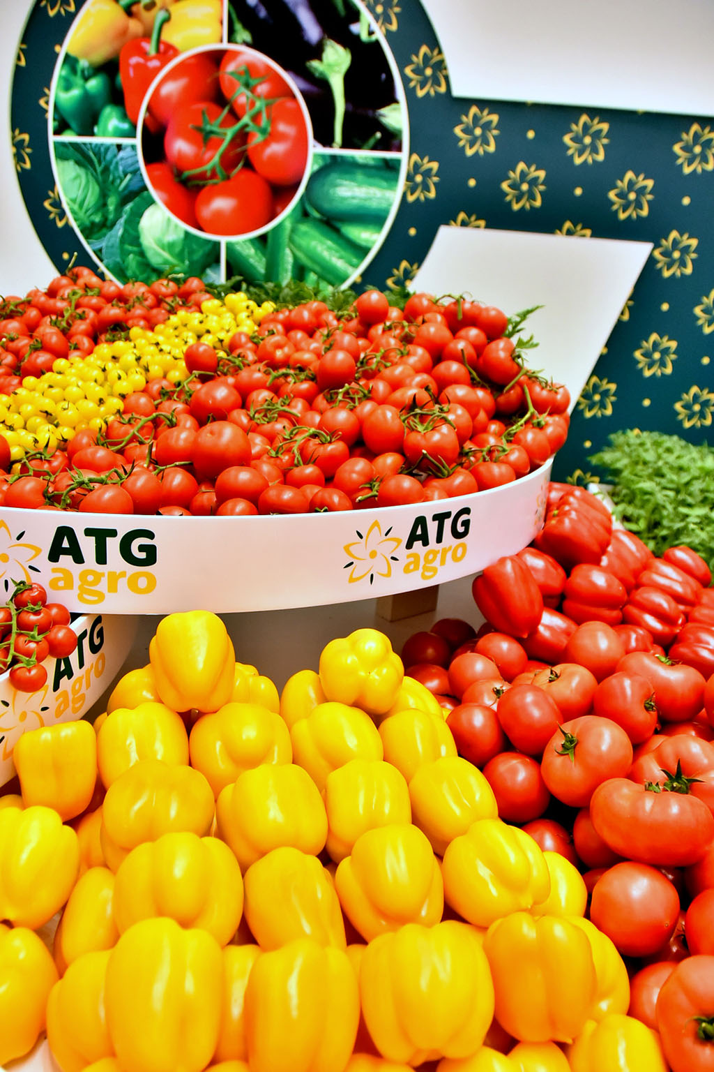 Агропроекты дашогузских предпринимателей: производство сельхозкультур, мясных и молочных продуктов