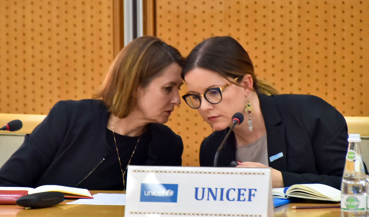 Приоритеты государственной политики в сфере охраны здоровья граждан представлены на брифинге в МИД 