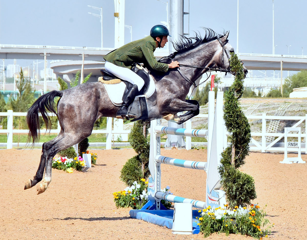 Show jumping competition is held in the capital equestrian complex