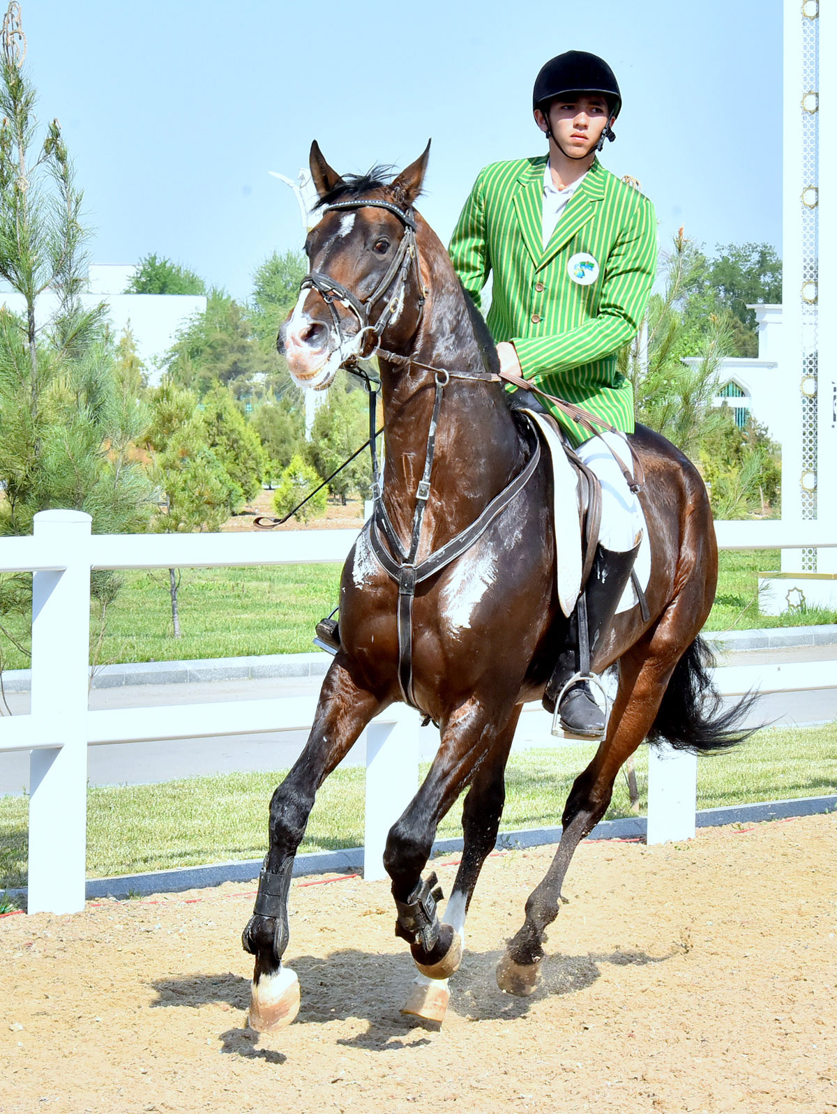 Show jumping competition is held in the capital equestrian complex