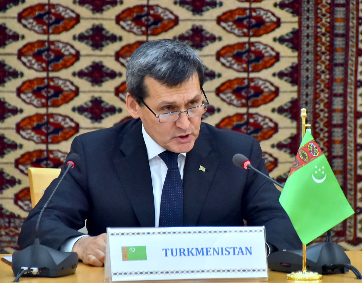 Priorities of the government policy in health protection of people presented at the briefing in the Foreign Ministry 