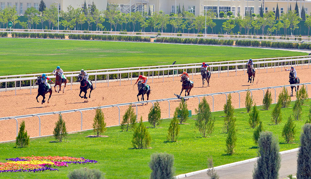 Лучшие наездники страны приняли участие в скачках