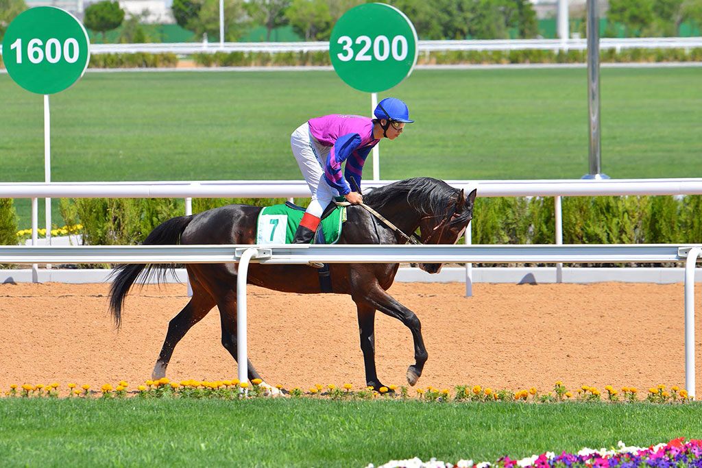 Лучшие наездники страны приняли участие в скачках