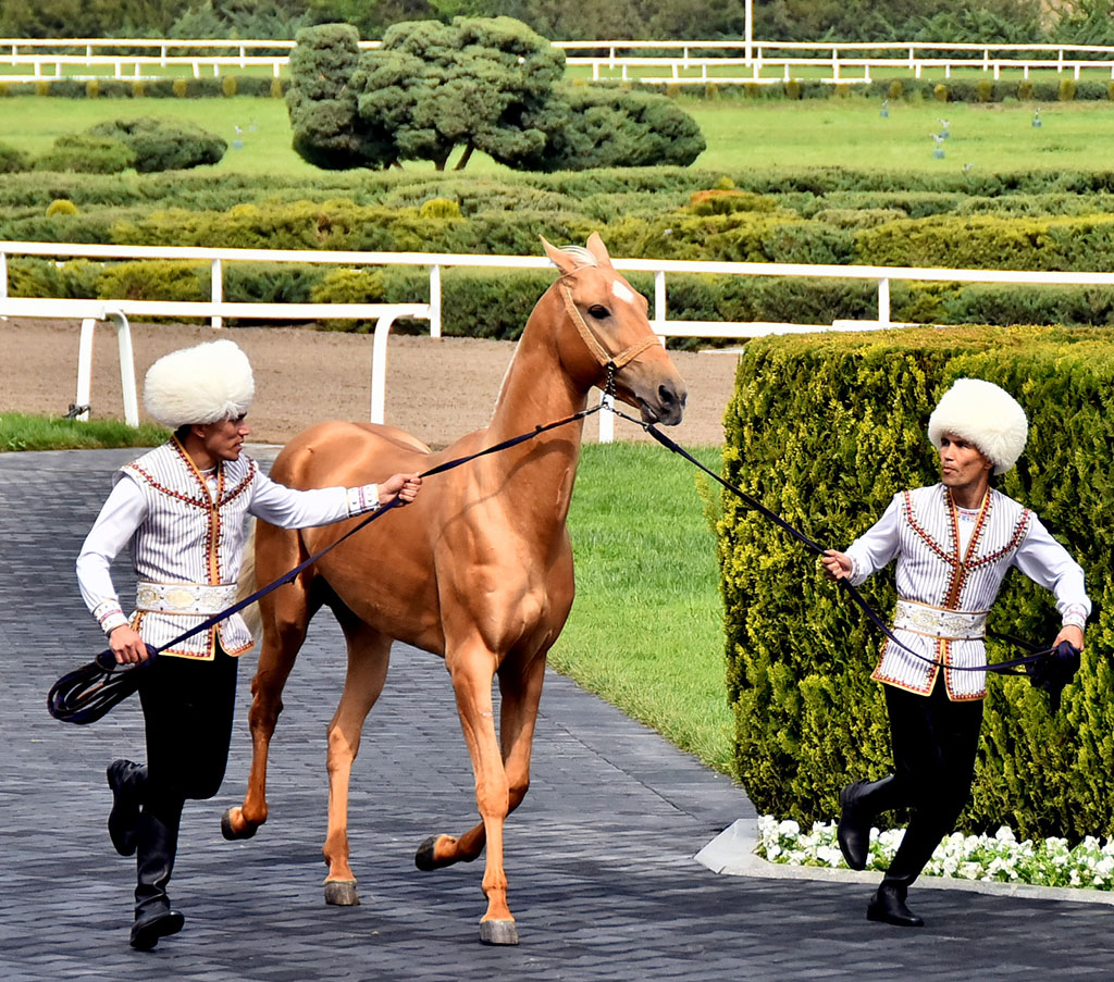 Celebration events take place in the Presidential Ahalteke Equestrian Complex 
