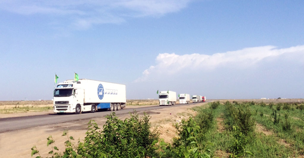 В афганскую провинцию Фарьяб доставлен гуманитарный груз из Туркменистана 
